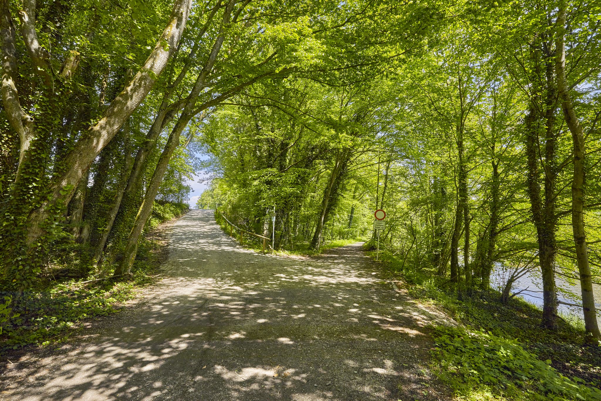 Burgkirchen-Hirten Alz Radweg, Burgkirchen, Oberbayern - Zwei Radwege im sonnigen Wald nahe Burgkirchen, Altötting, Oberbayern, Inn-Salzach. Ein Weg am Wasser, der andere bergauf. Idyllische Naturlandschaft.