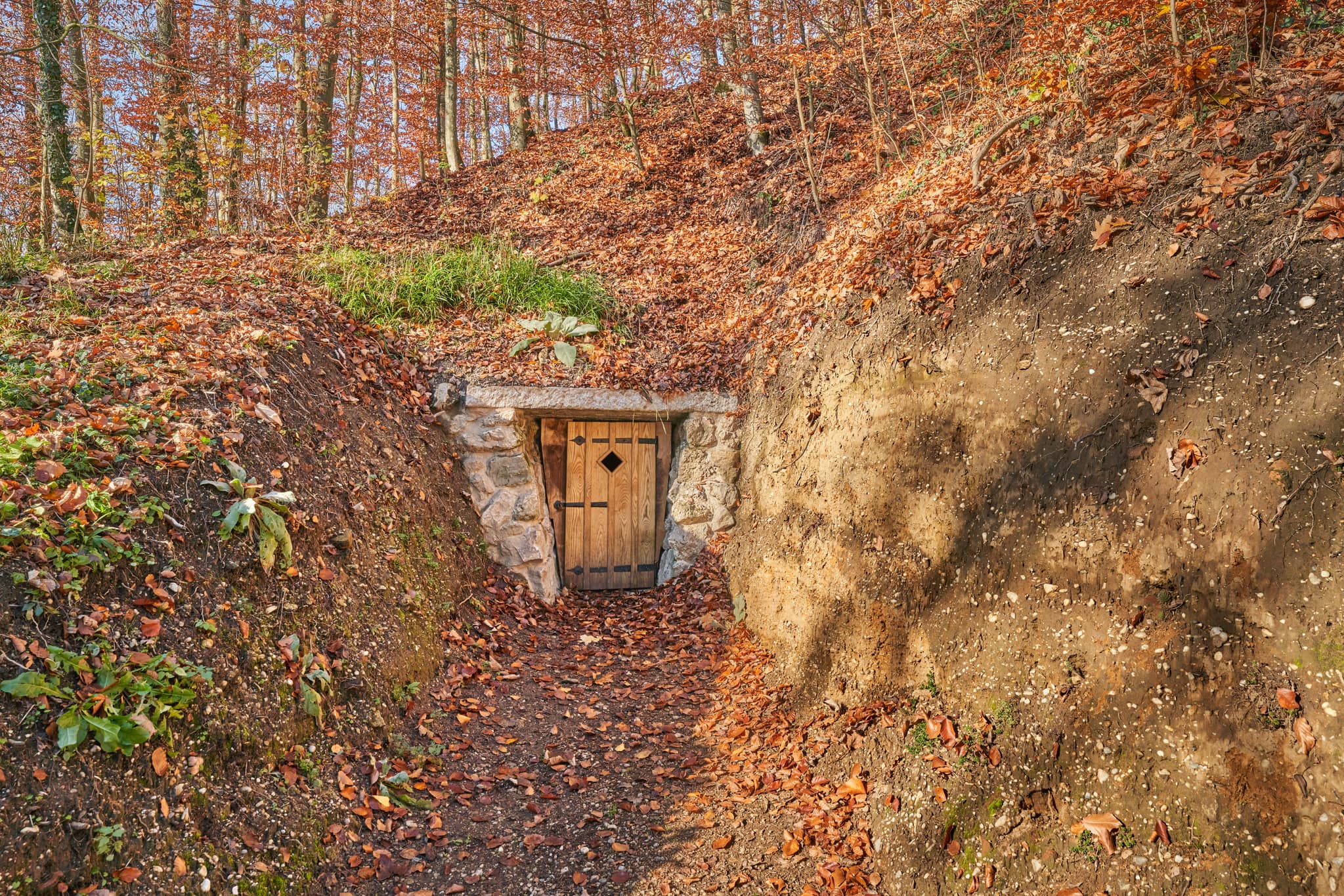 Burgstall Ausgang am Schlossberg Herbst, Julbach, Rottal-Inn - Burgstall Ausgang, Herbst am Schlossberg in Julbach, Gemeinde Julbach, Landkreis Rottal-Inn, Niederbayern, Region Holzland/Bäderdrieck, Bayern, Deutschland.