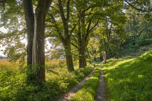 Der Isen Pilgerweg bei Steinhöring, Altötting, Oberbayern