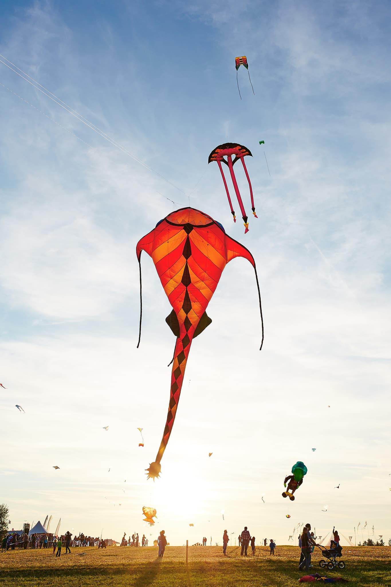 Drachenfest Wurmannsquick, Rottal-Inn - Drachenfest in Wurmannsquick, Hauptgemeinde Wurmannsquick, Landkreis Rottal-Inn, Niederbayern, Holzland/Bäderdrieck, Deutschland. Bild zeigt Drachen am Himmel.
