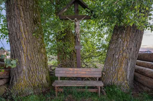 Dreistämmiger Baum, Erlbacher Straße, Reischach, Oberbayern