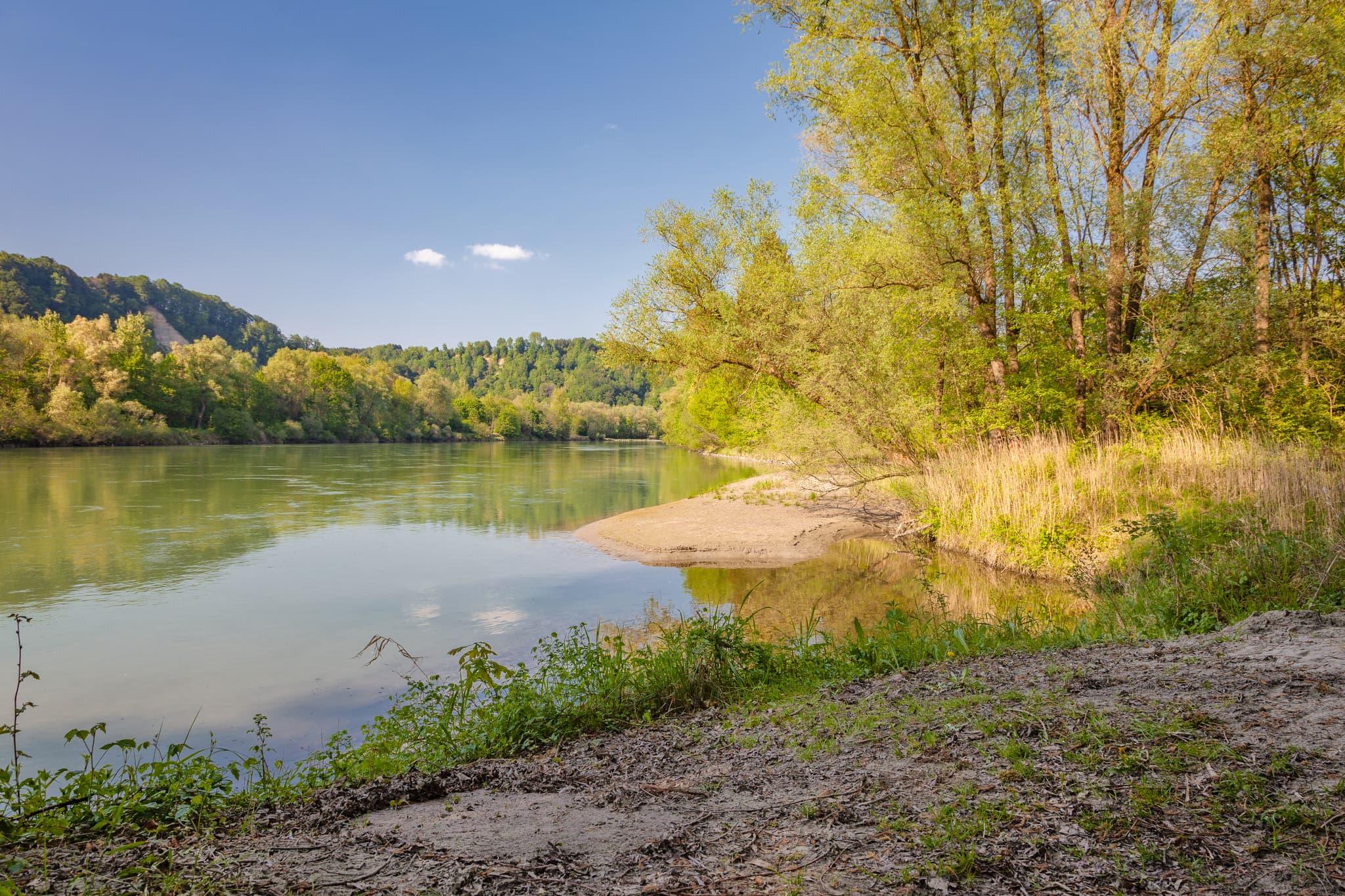 Ende des Weges kurz vor Inn-Alzspitz, Neuötting, Altötting - Natürliche Flusslandschaft bei Neuötting im Landkreis Altötting, Oberbayern, Deutschland. Ein Pfad führt am Ufer entlang in der Region Inn-Salzach.