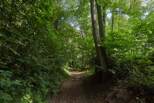 Engfurter Kreuzweg, Töging am Inn, Altötting, Inn-Salzach