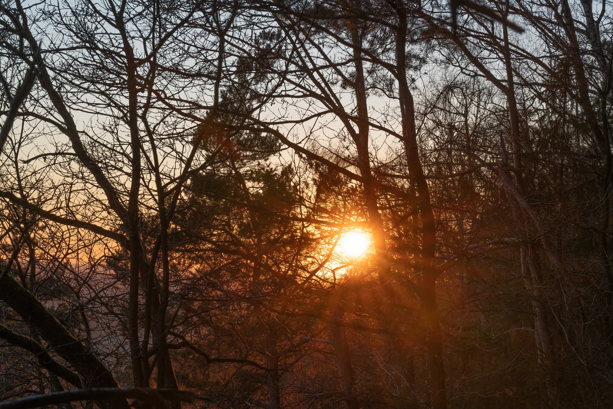 Engfurter Wald Sonnenuntergang, Töging, Altötting Oberbayern - Sonnenuntergang im Engfurter Wald bei Töging am Inn, Landkreis Altötting. Erlebe die malerische Landschaft in der Region Inn-Salzach, Oberbayern, Deutschland.