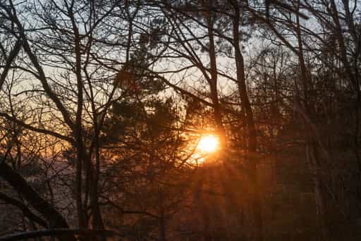 Engfurter Wald Sonnenuntergang, Töging, Altötting Oberbayern