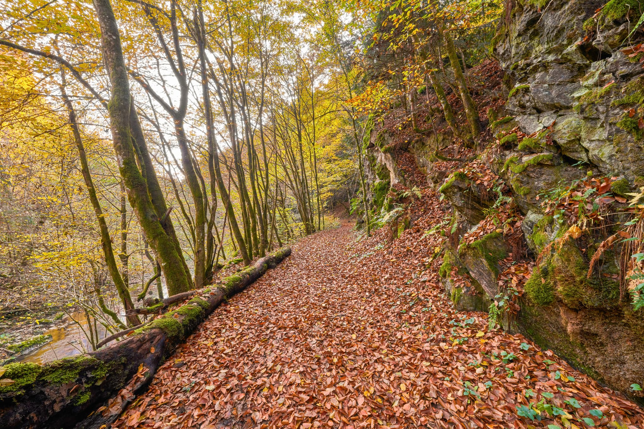 Erlautal Wanderweg Herbst, Erlau, Passau, Niederbayern - Herbstlicher Wanderweg im Erlautal, Erlau, Obernzell, Landkreis Passau, Niederbayern. Blätter auf dem Pfad. Bäume und Felsen im Bayerischen Wald, Deutschland.