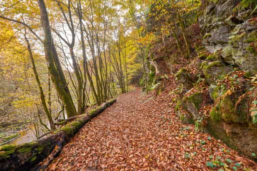 Erlautal Wanderweg Herbst, Erlau, Passau, Niederbayern