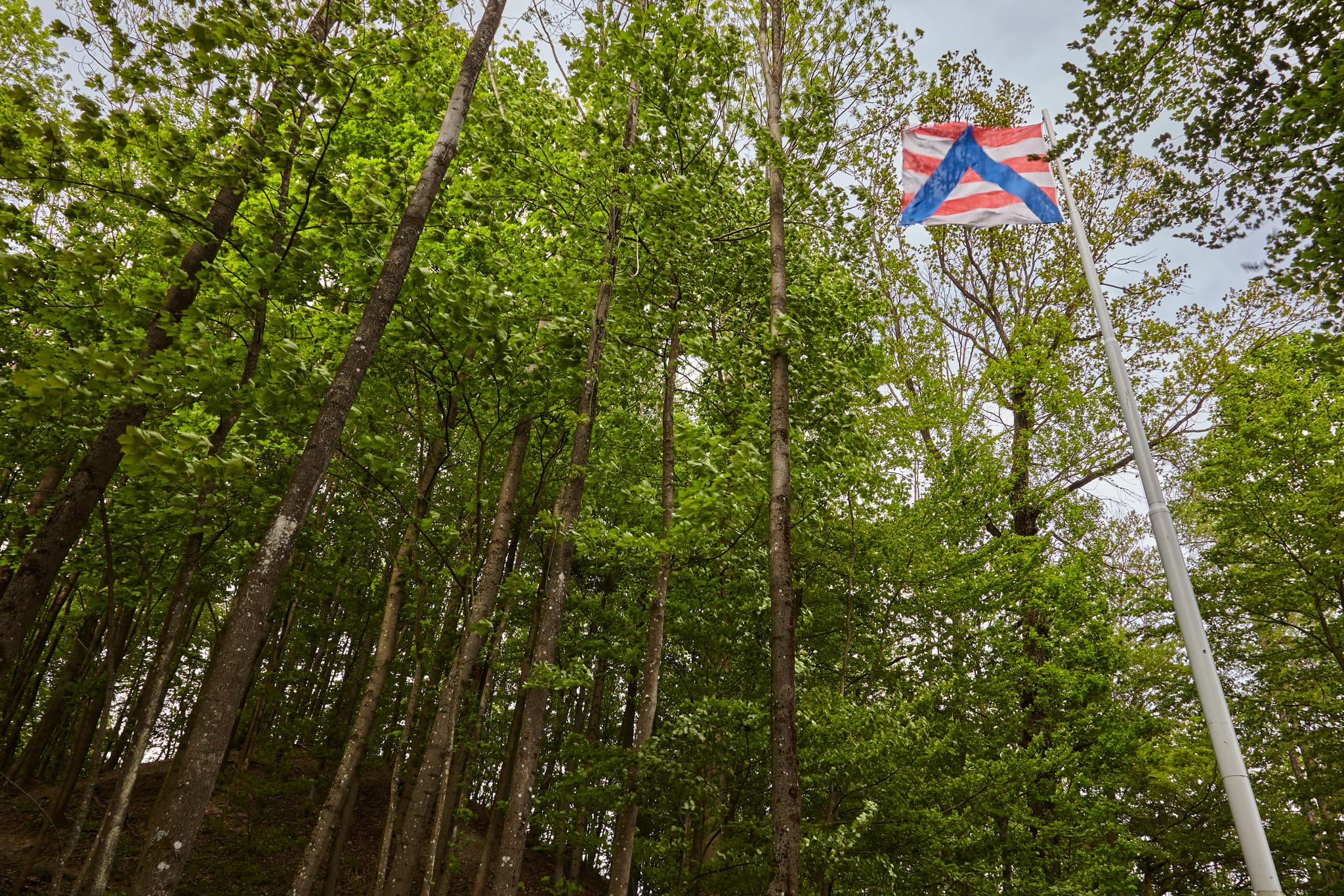 Fahne mit Fahnenmast, Julbach, Rottal-Inn - Fahne mit Fahnenmast auf dem Schlossberg in Julbach, Gemeinde Julbach, Landkreis Rottal-Inn, Niederbayern, Holzland, Bayern, Deutschland.