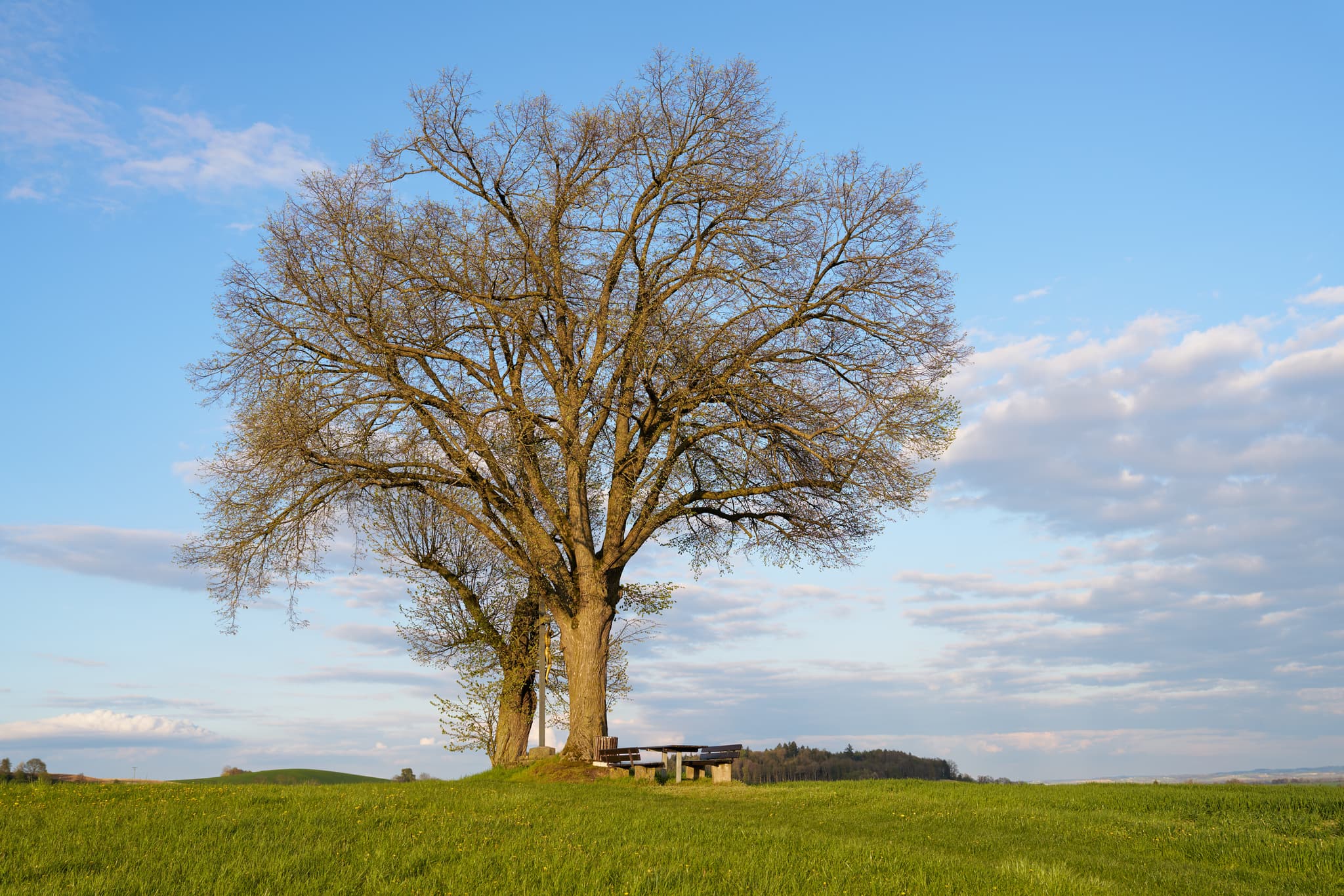 Feldkreuz, Bad Griesbach, Passau, Niederbayern, Bäderdreieck - Idyllisches Feldkreuz am Aussichtspunkt Karpfham in Bad Griesbach, Landkreis Passau, Niederbayern. Malerische Landschaft im Bäderdreieck, Deutschland.