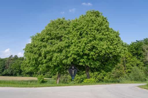 Feldkreuz bei Friesing nach Wurmgarten, Reischach