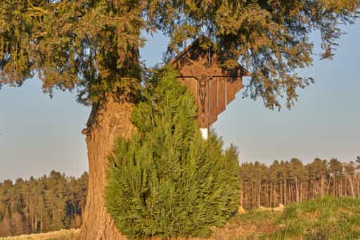 Feldkreuz in Martinskirchen, Rottal-Inn, Niederbayern
