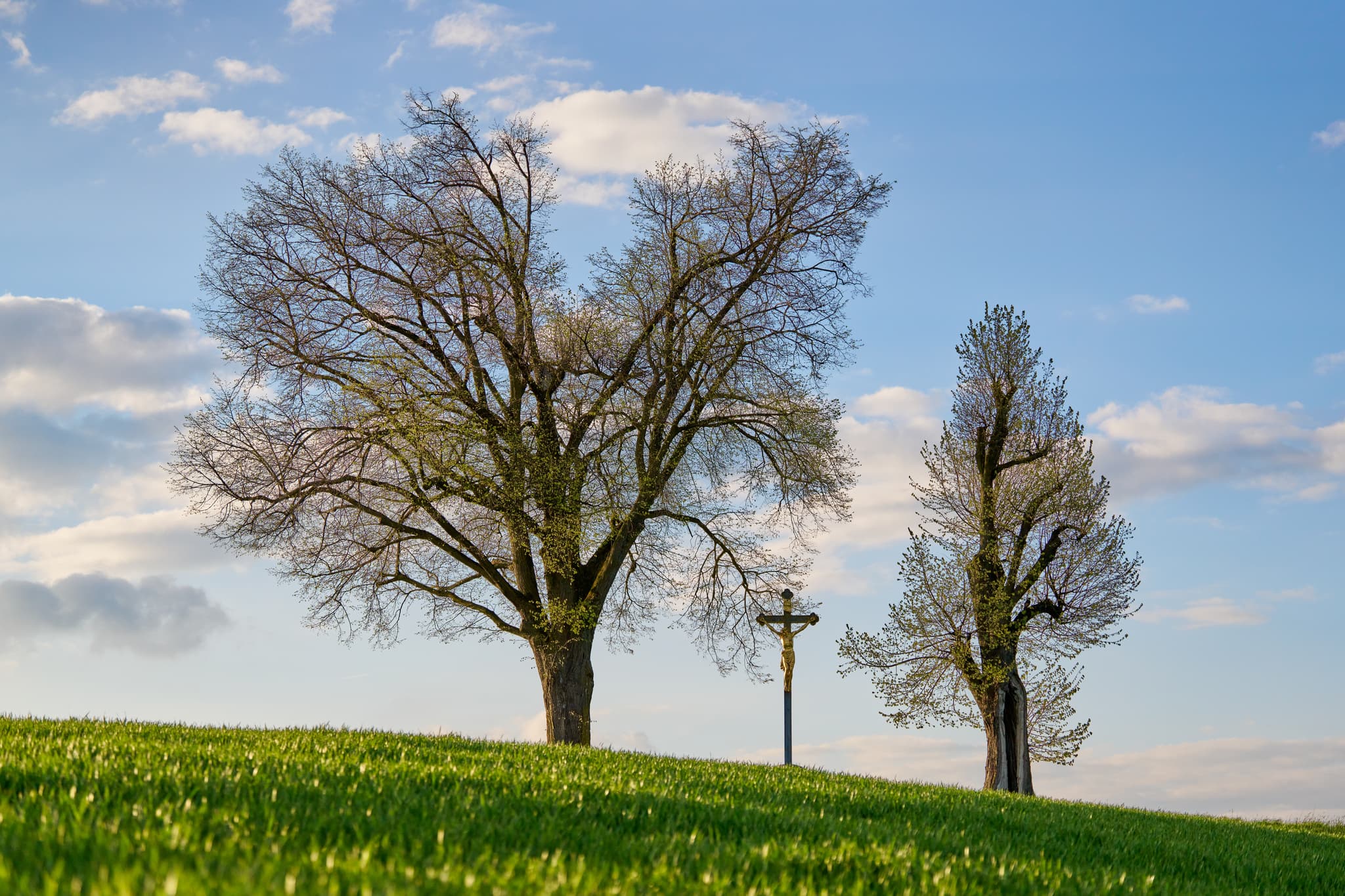 Feldkreuz Karpfham, Bad Griesbach, Bäderdreieck - Feldkreuz am Aussichtspunkt in Karpfham, Bad Griesbach, Landkreis Passau. Idyllische Landschaft im Herzen des Bäderdreiecks in Niederbayern, Deutschland.