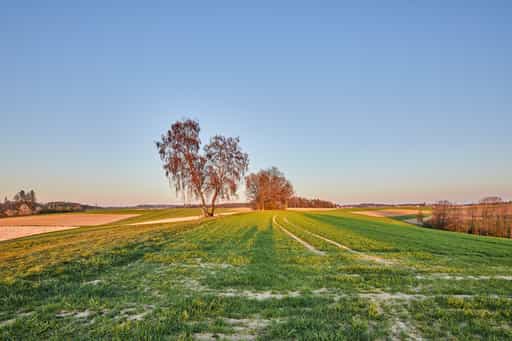 Feldkreuz Richtung Weingarten Landkreisgrenze, Arbing