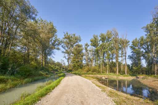 Fischbach nähe Inn B299, Neuötting, Altötting, Oberbayern