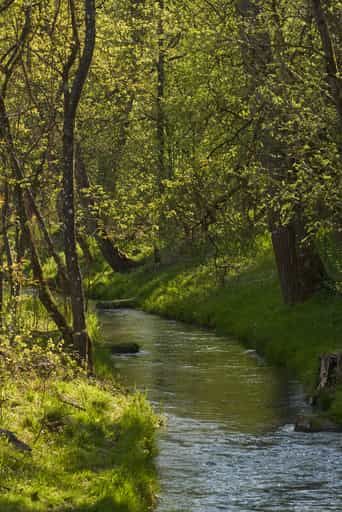 Fischtreppe am Inn Kraftwerk, Stammham, Oberbayern