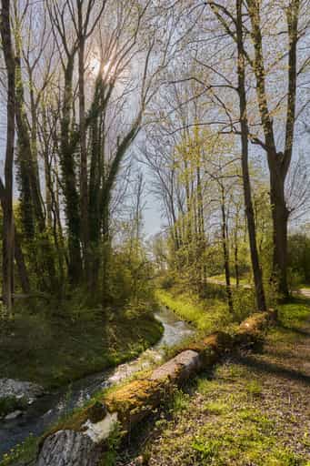 Fischtreppe am Kraftwerk, Stammham, Altötting, Oberbayern