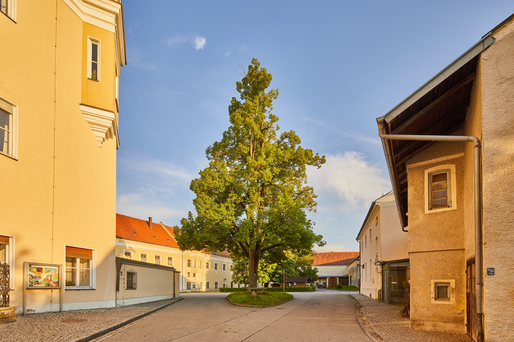 Franziskaner Klosterhof in Au am Inn, Mühldorf am Inn - Franziskaner Kloster, Klosterhof, Au am Inn, Gars am Inn, Mühldorf am Inn, Oberbayern, Deutschland. Historischer Klosterhof mit großem Baum, Inn-Salzach Region.