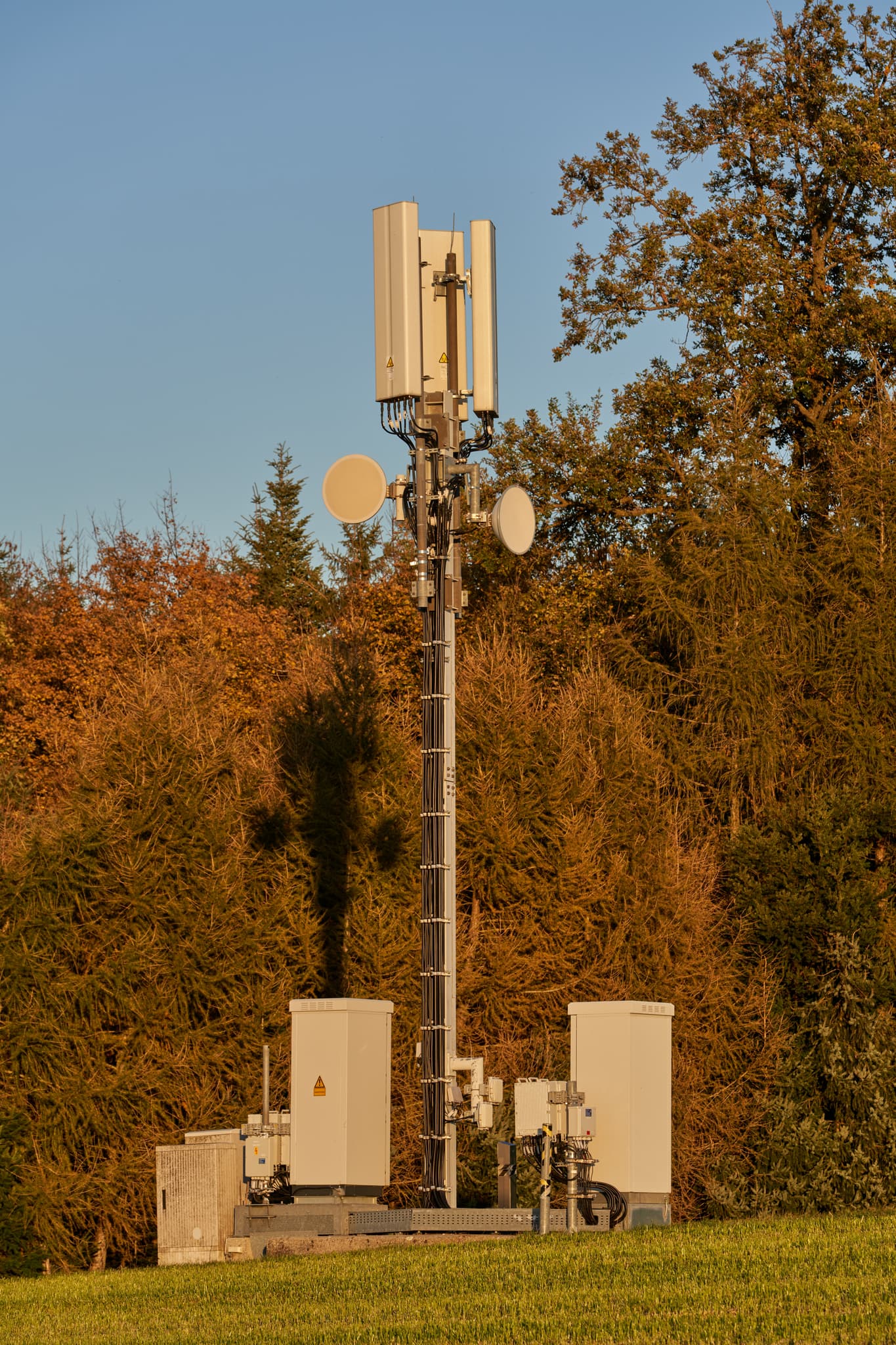 Funkmast an der Rainbichl Linde, Tyrlaching, Altötting - Funkmast an der Rainbichl Linde bei Tyrlaching in Oberbayern. Der Mast steht vor einem herbstlichen Wald.