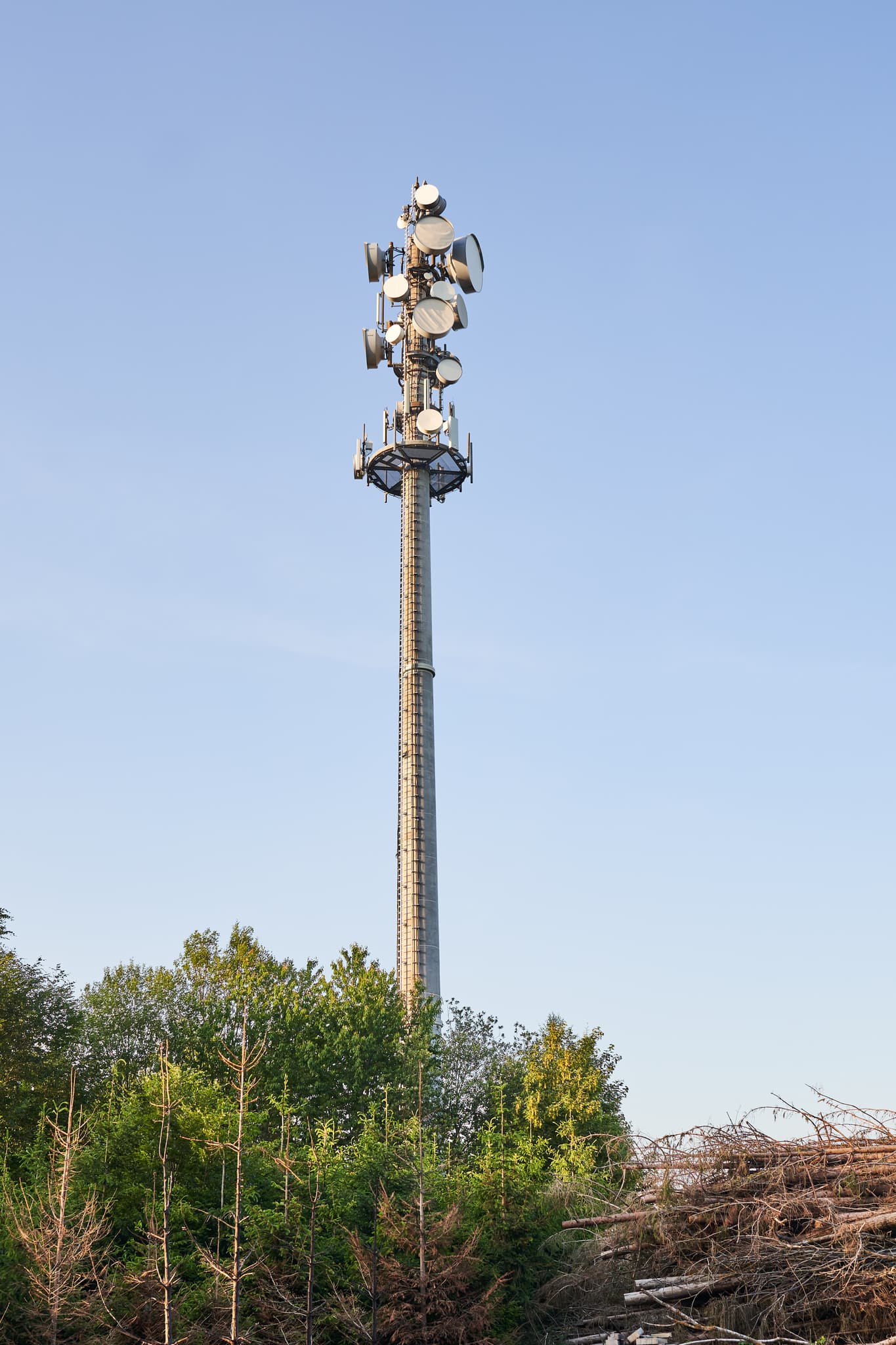 Funkmasten Hinteralbing, Mühldorf, Oberbayern, Inn-Salzach - Funkmasten in Hinteralbing, Niedertaufkirchen, Mühldorf am Inn, Oberbayern, Deutschland. Die Inn-Salzach Region. Mast, Bäume, Holzstapel, blauer Himmel.