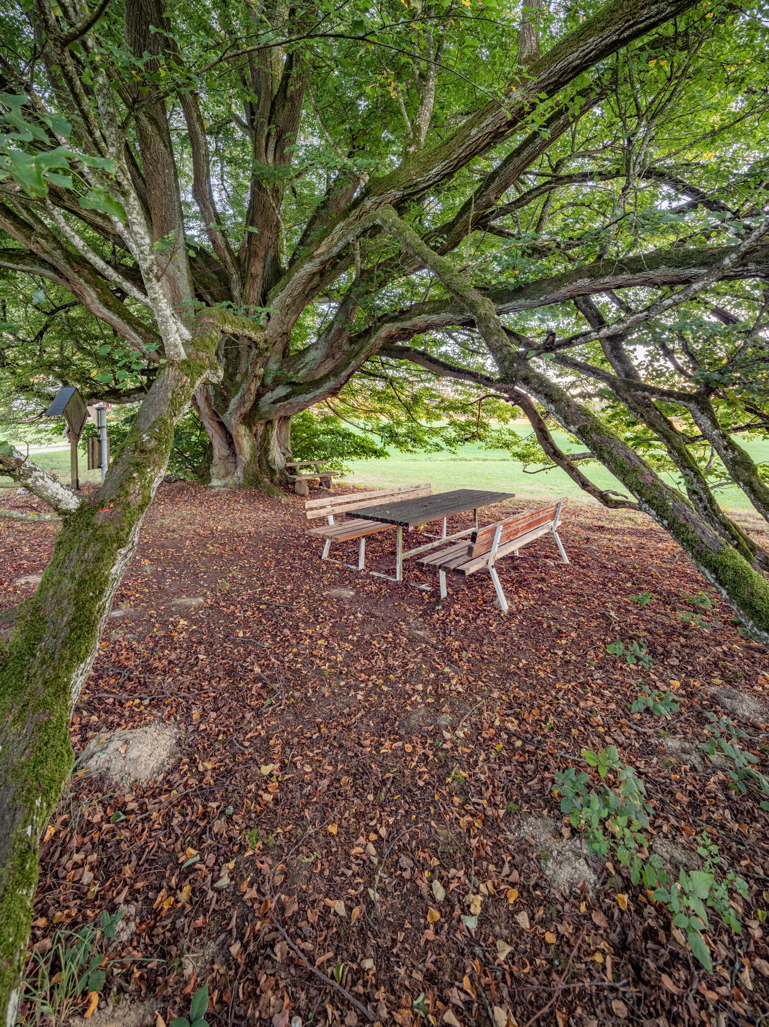 Funkmasten Kriering, Wittibreut, Niederbayern, Bäderdreieck - Ein Funkmast als Silhouette vor farbenprächtigem Dämmerungshimmel nähe  Kriering, Wittibreut. Die Szenerie im Landkreis Rottal-Inn.