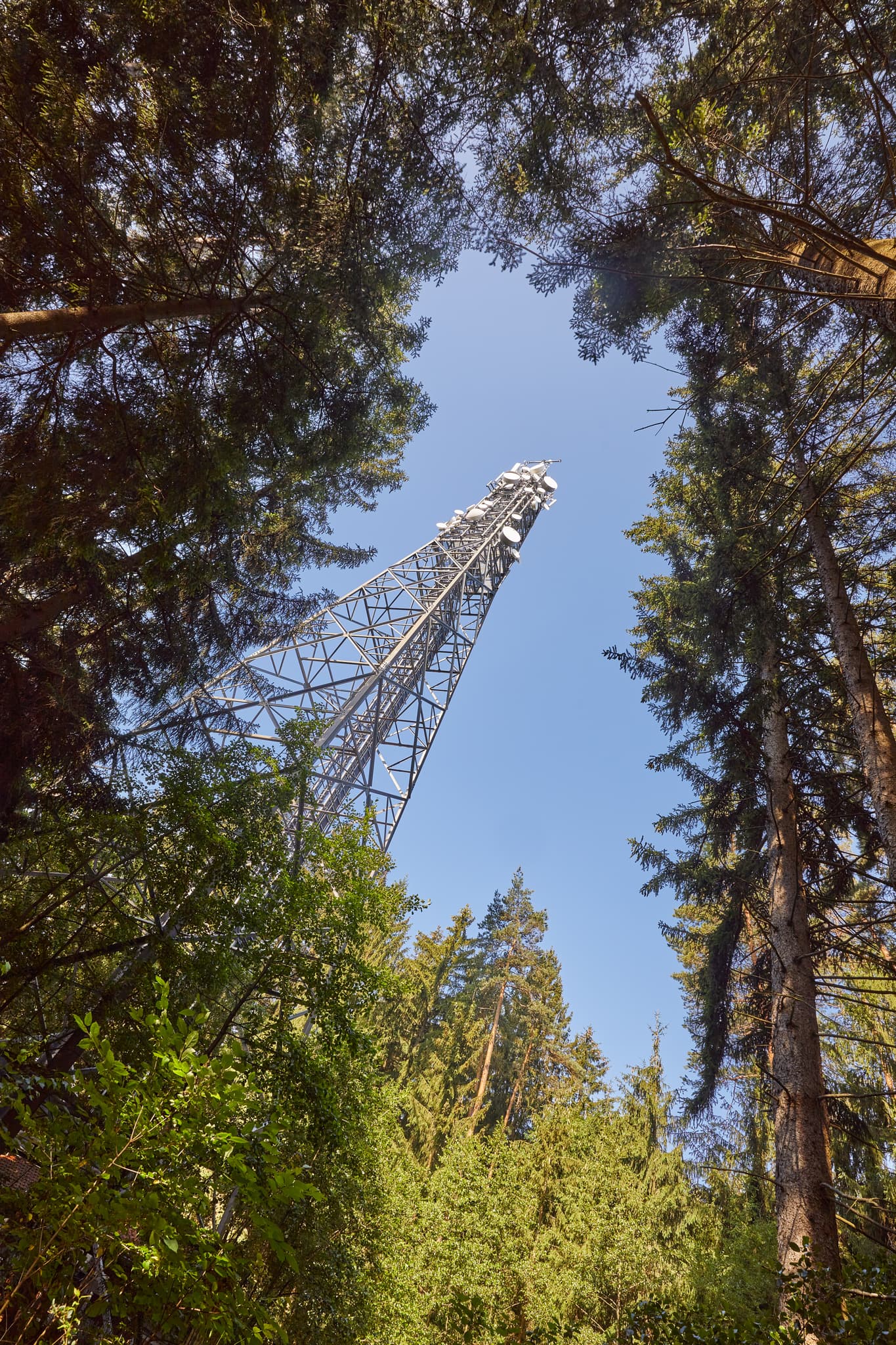 Funkturm Glatzberg, Landkreis Mühldorf am Inn, Oberbayern - Moderne Funkmast-Anlage in Glatzberg, Heldenstein, Landkreis Mühldorf am Inn, Oberbayern. Wichtige Infrastruktur in der Region Inn-Salzach, Deutschland.