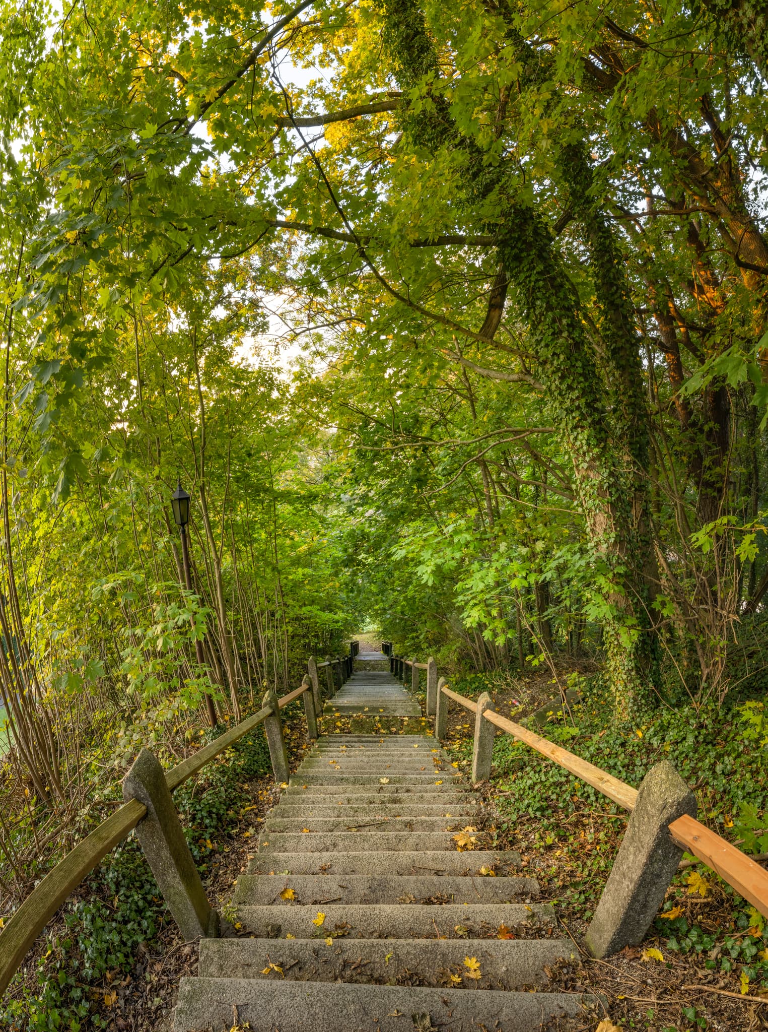Fußweg, Burgkirchen am Wald, Tüssling, Altötting, Oberbayern - Treppenfußweg durch Wald in Burgkirchen am Wald, Altötting, Oberbayern. Typische grüne Landschaft der Inn-Salzach Region.