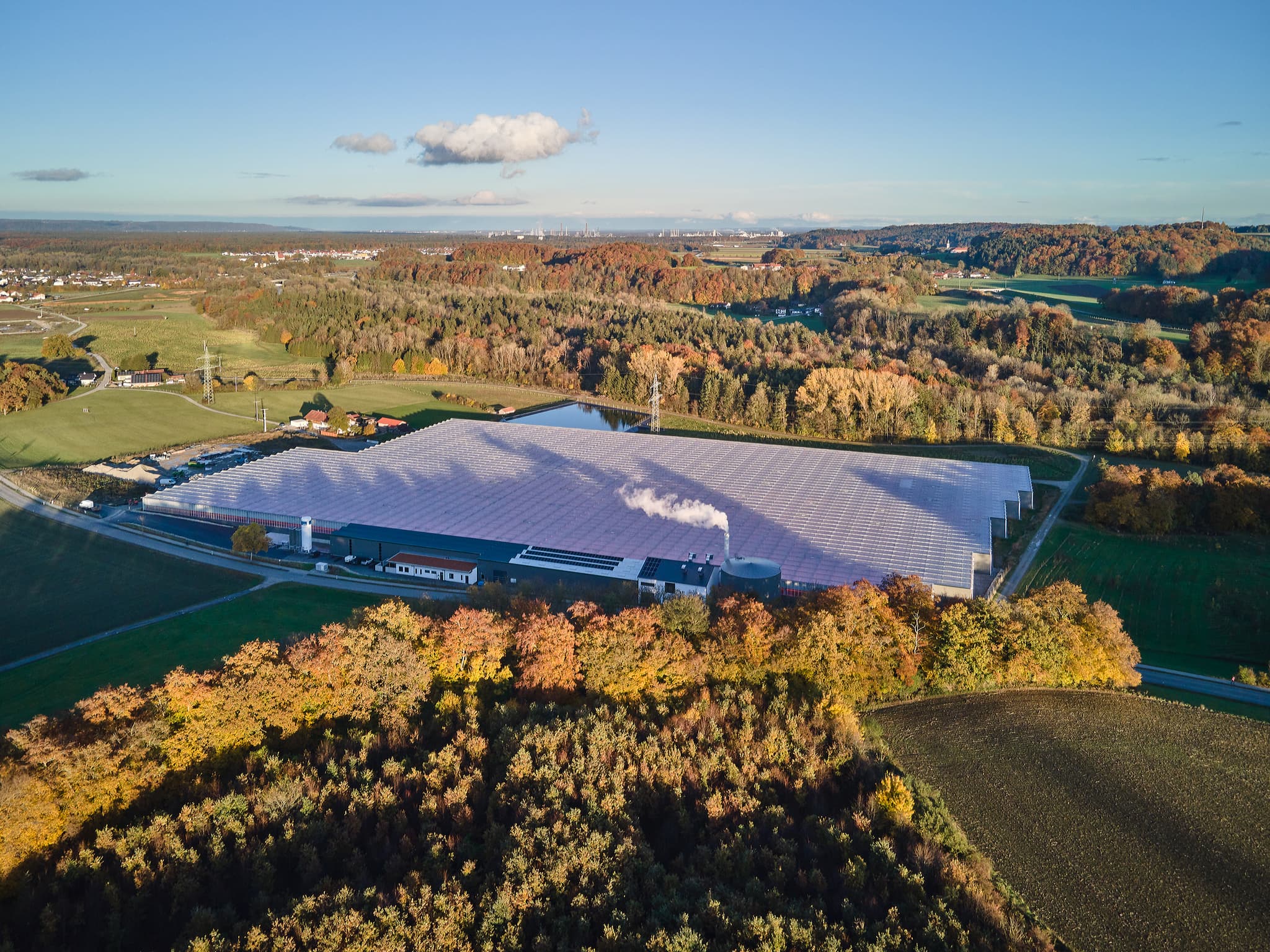 Gemüseanbau Steiner, Emmerting-Bruck, Altötting, Oberbayern - Gemüseanbau in Emmerting-Bruck, Landkreis Altötting, Regierungsbezirk Oberbayern, Region Inn-Salzach, Deutschland.