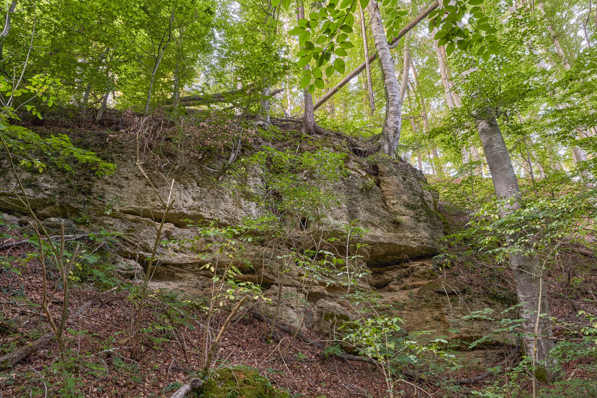 Geologeische Orgeln, Klaffl, Altötting, Oberbayern - Felsformation, lt. Einheimischen auch Geologische Orgeln, in Klaffl, Gemeinde Kastl, Landkreis Altötting, Oberbayern, Deutschland, umgeben von Wald.