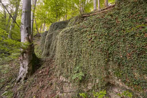 Geologeische Orgeln, Klaffl, Altötting, Oberbayern