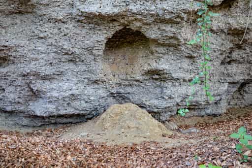 Geologische Orgeln Detail, Oberschroffen, Unterneukirchen