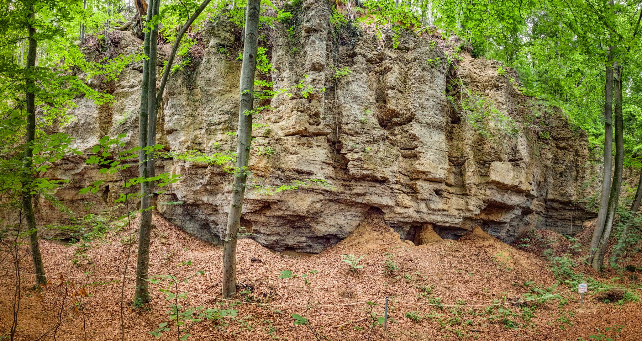 Geologische Orgeln Schroffen, Oberschroffen, Altötting - Felsformation der Geologischen Orgeln, umgeben von Wald, in Oberschroffen, Unterneukirchen, Landkreis Altötting, Oberbayern, Region Inn-Salzach, Deutschland.