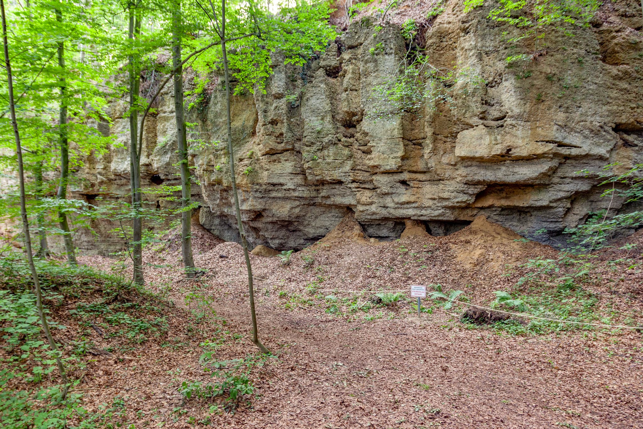 Geologische Orgeln Schroffen, Oberschroffen, Altötting - Geologische Orgeln Schroffen im Wald bei Oberschroffen, Unterneukirchen. Felsformationen im Landkreis Altötting, Oberbayern, Region Inn-Salzach, Deutschland.