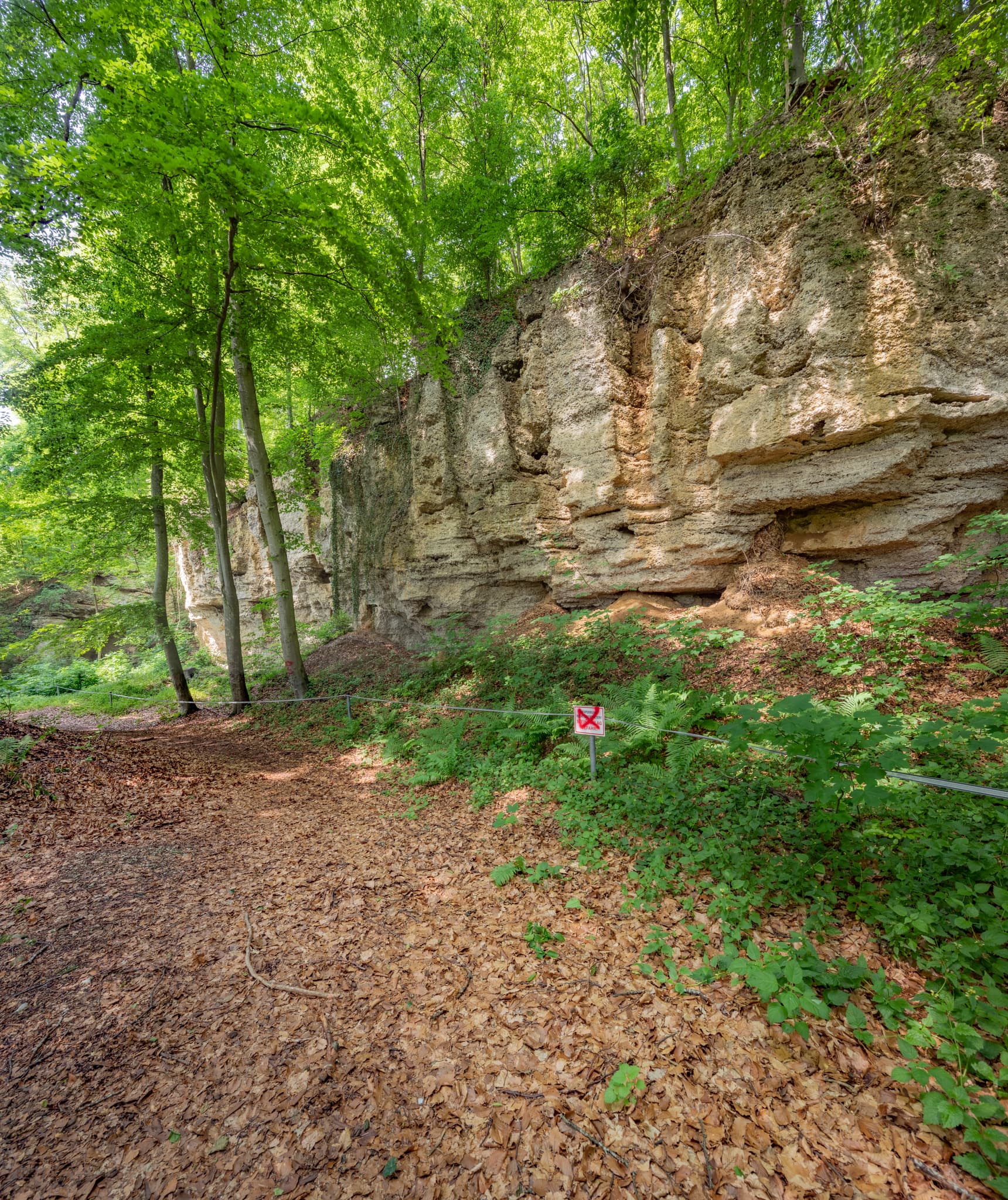 Geologische Orgeln Schroffen, Oberschroffen, Altötting - Panorama der Geologischen Orgeln Schroffen, Oberschroffen, Unterneukirchen, Landkreis Altötting, Oberbayern, Region Inn-Salzach, Deutschland.