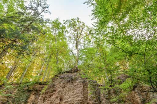 Geologische Orgeln, Schroffen, Unterneukirchen, Altötting