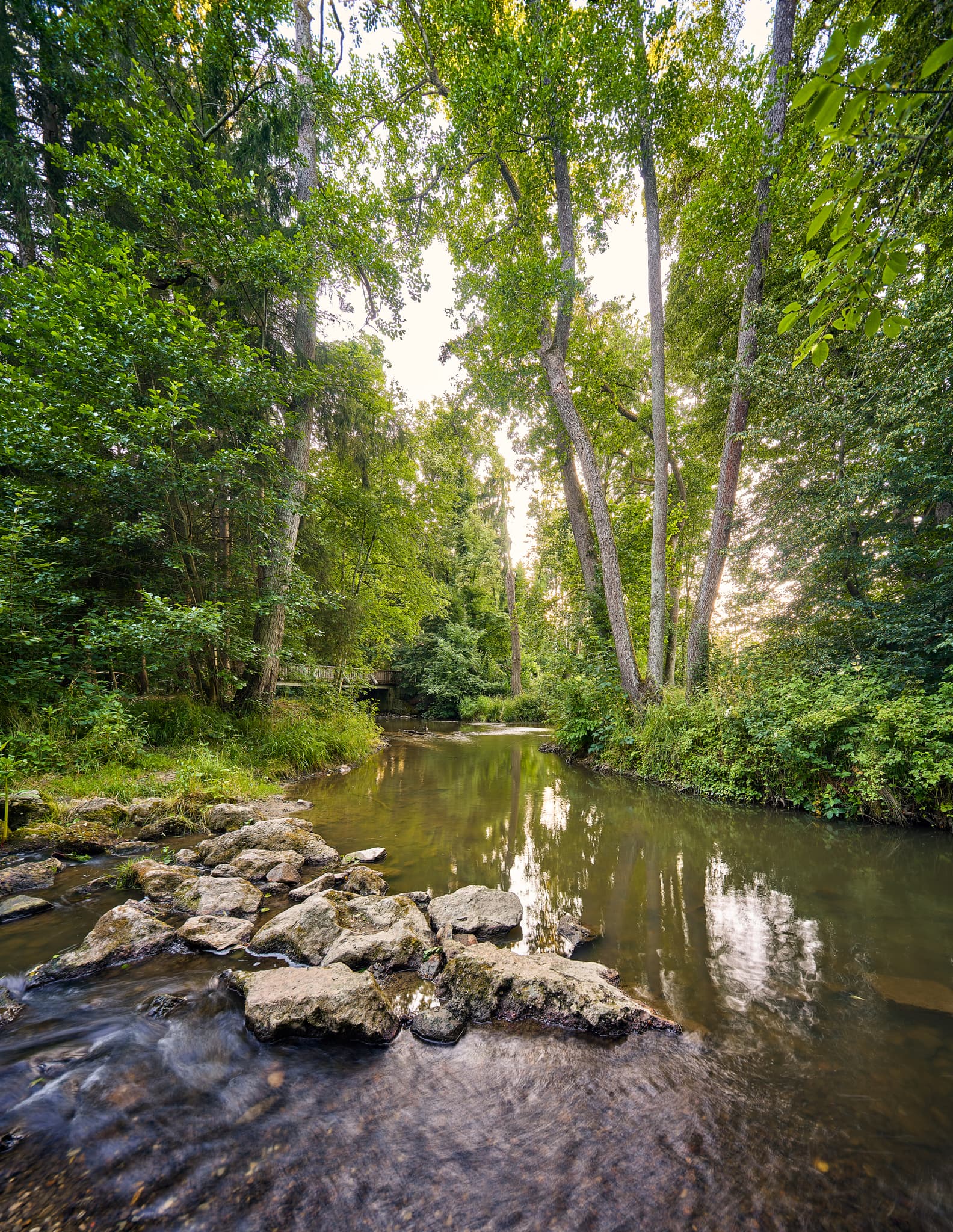 Gern Lichtlberger Wald, Eggenfelden, Niederbayern, Holzland - Ruhiger Bachlauf im Lichtlberger Wald in Gern, Eggenfelden, Landkreis Rottal-Inn, Niederbayern. Eine naturnahe Szene in der Region Holzland, Deutschland.