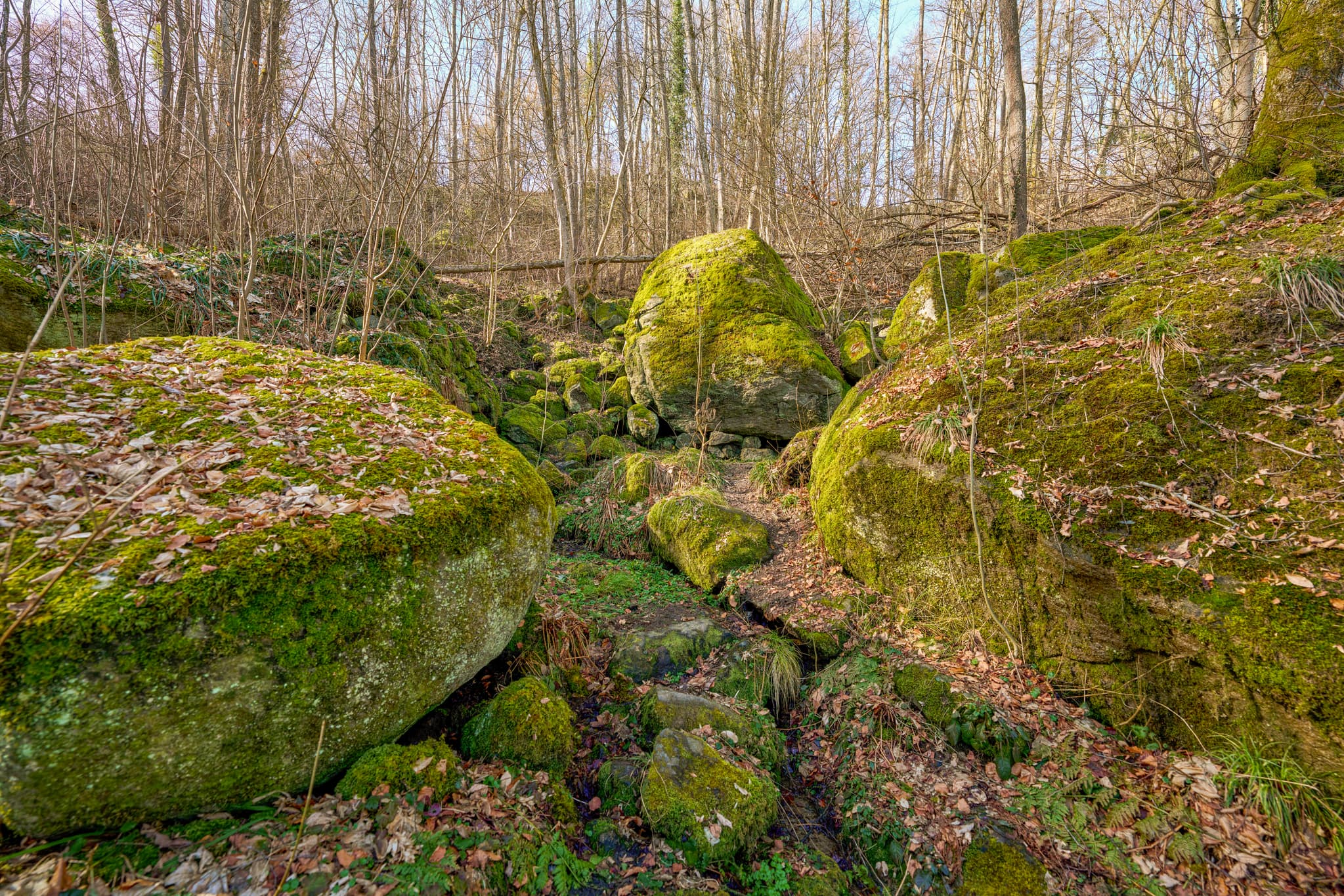 Gesteinsformation im Wald bei Schloss Neuburg am Inn, Passau - Uriges Waldgebiet mit moosbewachsenen Felsen nahe Schloss Neuburg am Inn, Landkreis Passau, Niederbayern, Deutschland. Es liegt in der Region Donau-Wald.