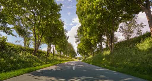 Golderberg Arbing Allee, Reischach, Altötting, Oberbayern