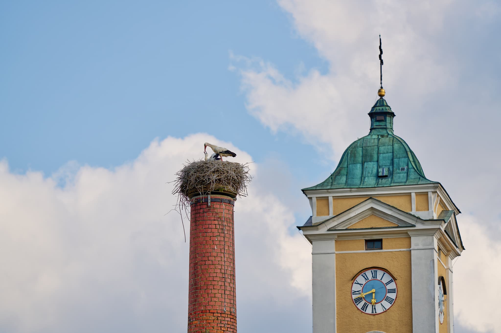 Graf Arco Turm Storchennest, Bad Birnbach, Ndb, Bäderdreieck - Storch in Nest auf dem Graf Arco Turm in Bad Birnbach, Rottal-Inn, Niederbayern. Nebenan ein Kirchturm mit Uhr. Motiv im Bäderdreieck, Deutschland.
