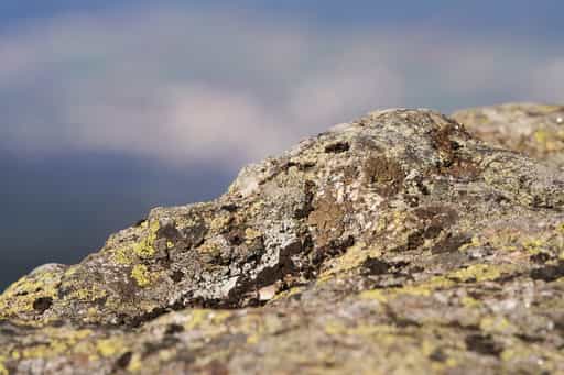Großer Arber Detailansicht eines Felsen, Regen, Niederbayern