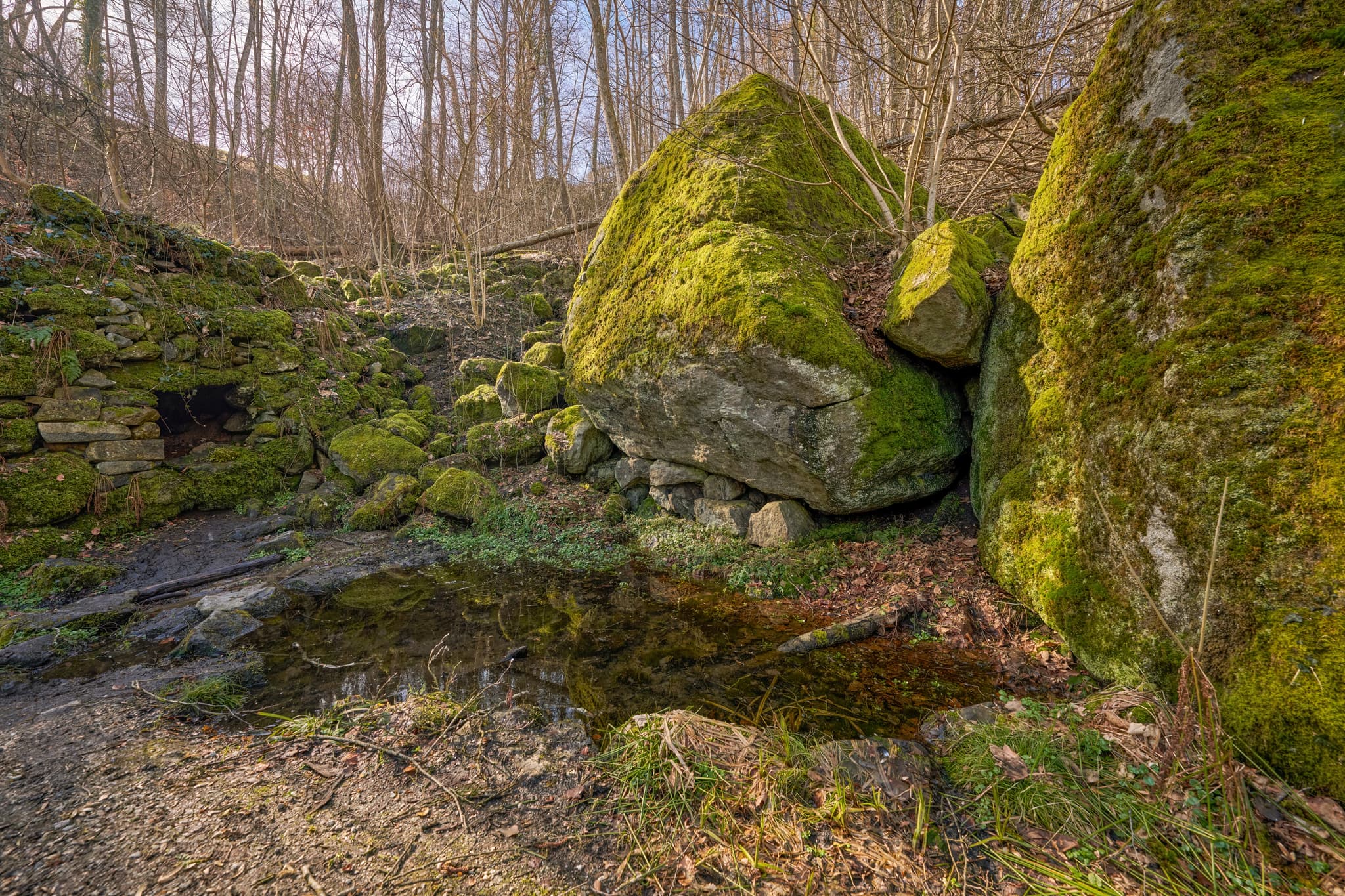 Grotte Schloss Neuburg, Neuburg am Inn, Passau, Niederbayern - Moosbewachsene Felsen und Grotte im Wald von Neuburg am Inn, Landkreis Passau. Naturaufnahme in Niederbayern, Region Donau-Wald, Deutschland.