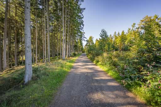 Guteneck nach Lapperding, Wanderweg 2, Johanniskirchen