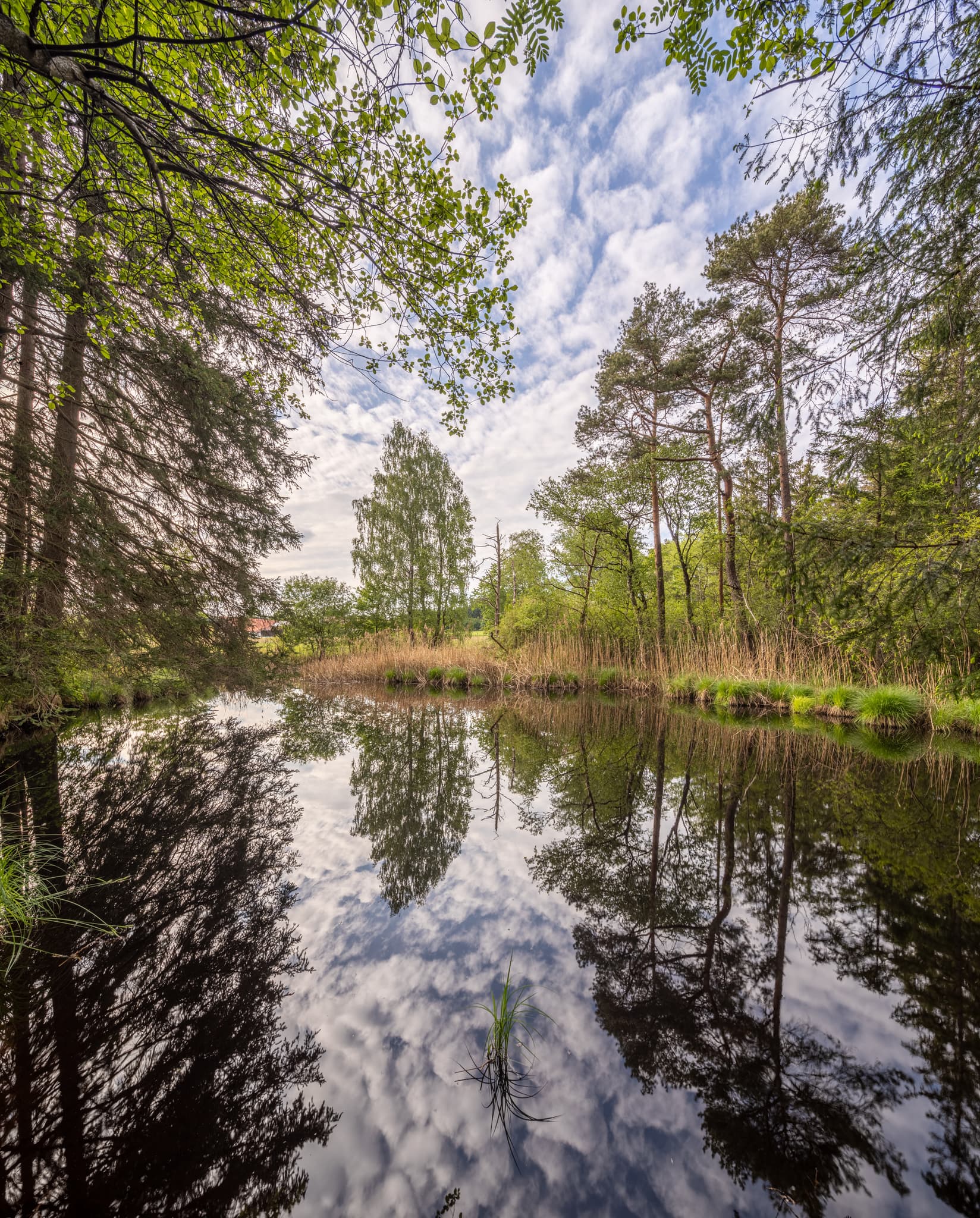Haager Land Todeiskesselweg, Haag, Mühldorf am Inn - Todeiskesselweg, Wasser spiegelnd Bäume und Himmel. Friedliche Naturlandschaft in Haag, Mühldorf am Inn, Oberbayern, Inn-Salzach, Deutschland.