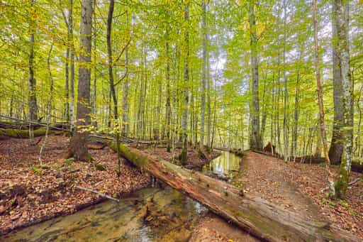 Hans-Watzlik-Hain Kanal, Bayerisch Eisenstein, Regen