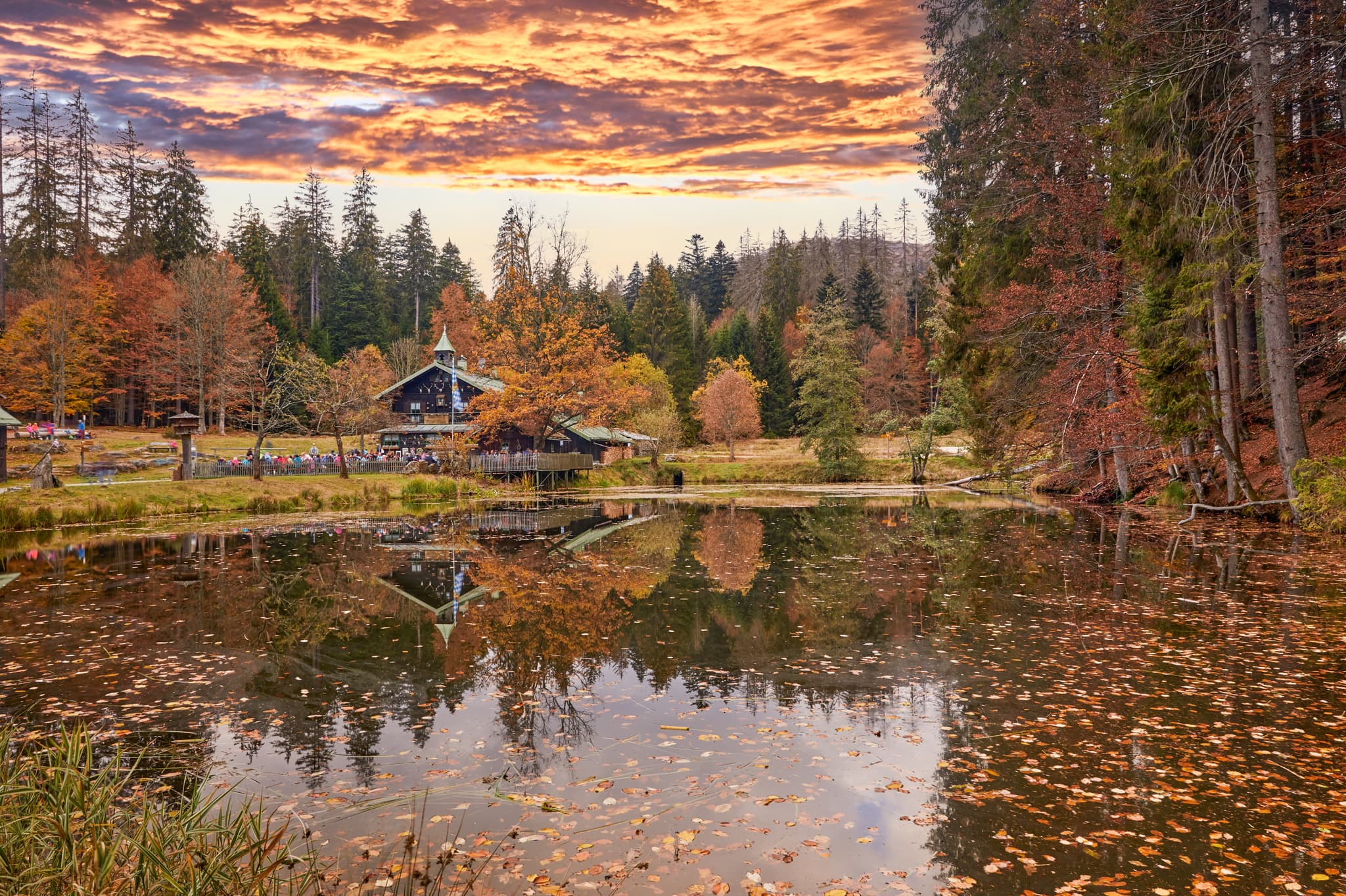 Hans-Watzlik-Hain Schwellhäusl, Bayerisch Eisenstein, Regen - Herbstliche Landschaft am Hans-Watzlik-Hain Schwellhäusl, Regen, Niederbayern. Ein idyllischer See im Bayerischen Wald, Deutschland, mit Wald und Gebäude.