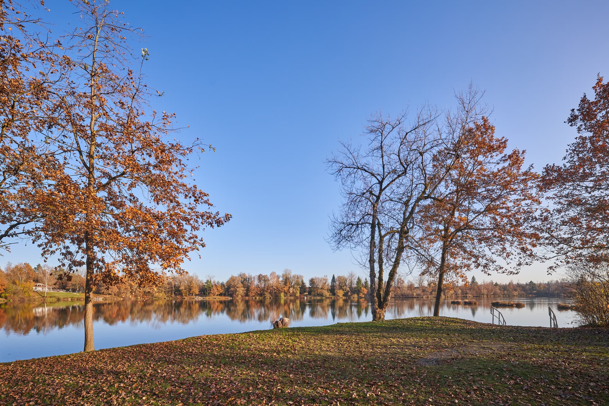 Herbst am Waldsee Lago, PAN, Niederbayern, Bäderdreieck - Herbstlandschaft am Waldsee Lago, Kirchdorf am Inn, Landkreis Rottal-Inn, Niederbayern. Bäume mit braunem Laub und klarer Himmel spiegeln sich im Wasser.