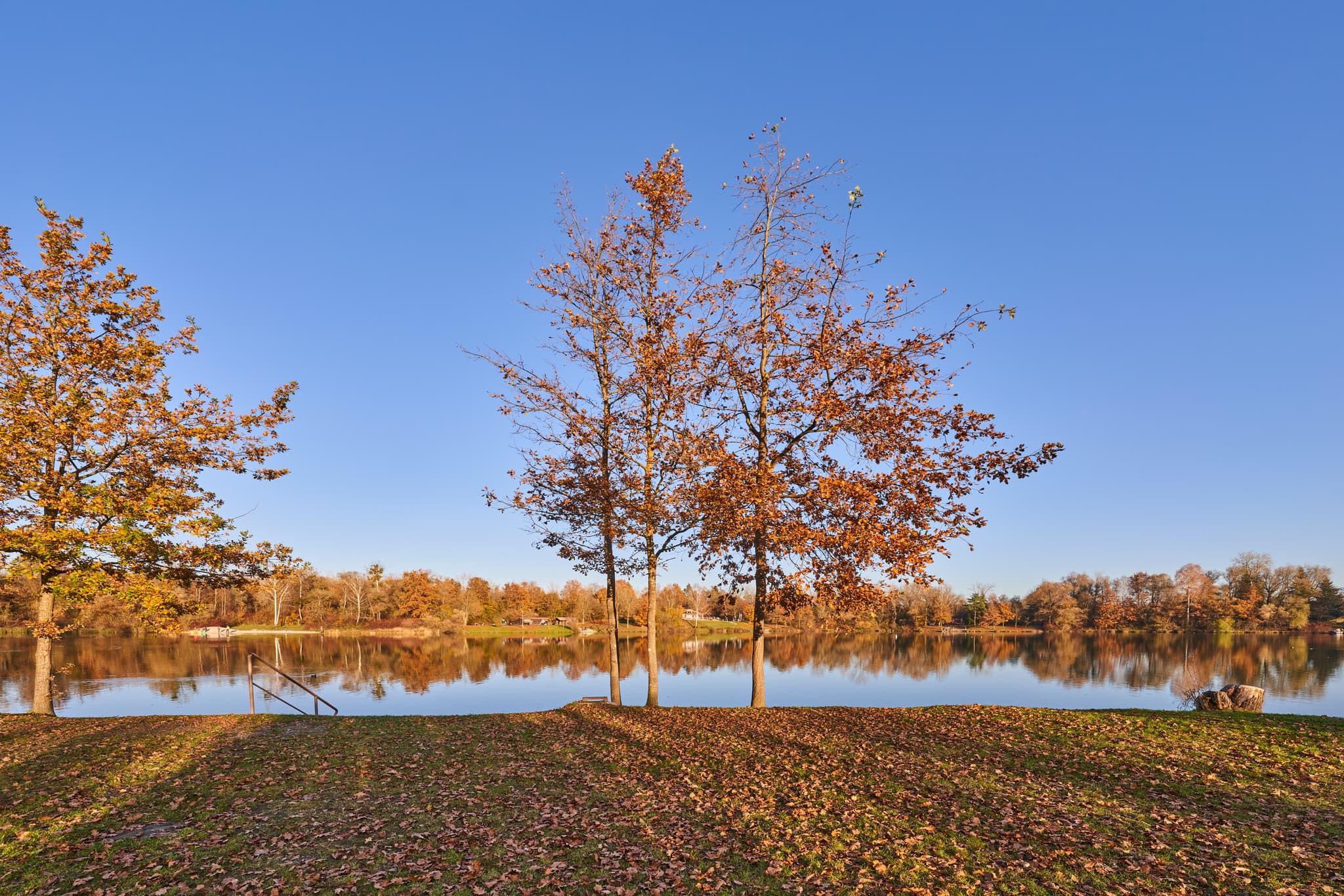 Herbst am Waldsee Lago, PAN, Niederbayern, Bäderdrieck - Herbstliche Szene am Waldsee Lago in Kirchdorf am Inn, Rottal-Inn. Ruhiger See, spiegelnde Bäume, blauer Himmel in Niederbayern.