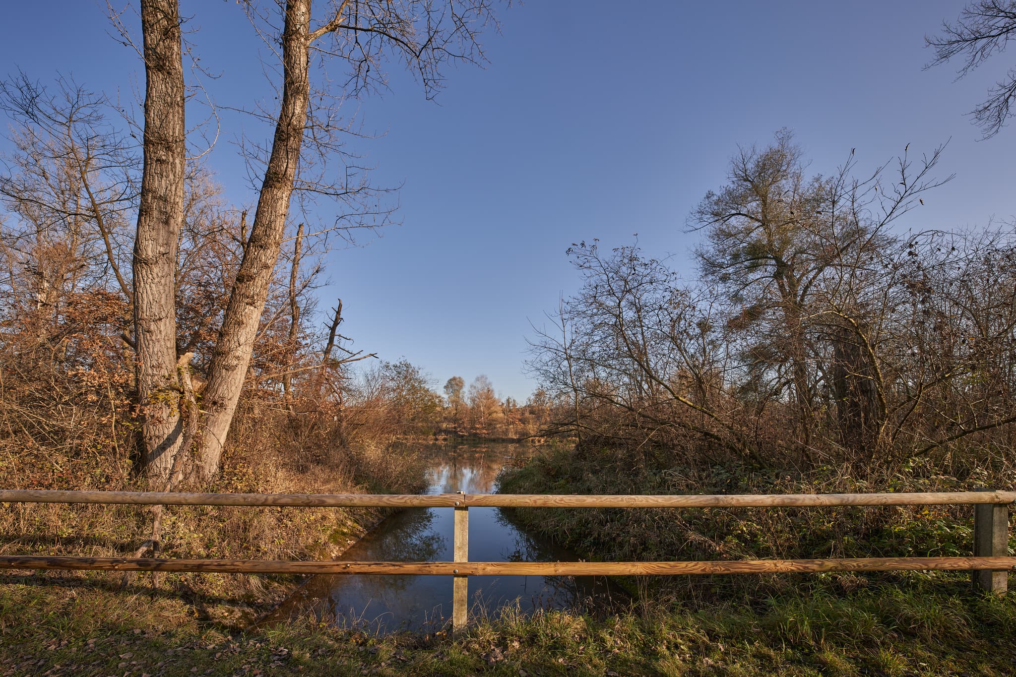 Herbst am Waldsee Lago, PAN, Niederbayern, Bäderdrieck - Brücke am Waldsee Lago bei Kirchdorf am Inn, Landkreis Rottal-Inn, Niederbayern. Ruhiger See, herbstliche Vegetation, Holzgeländer.