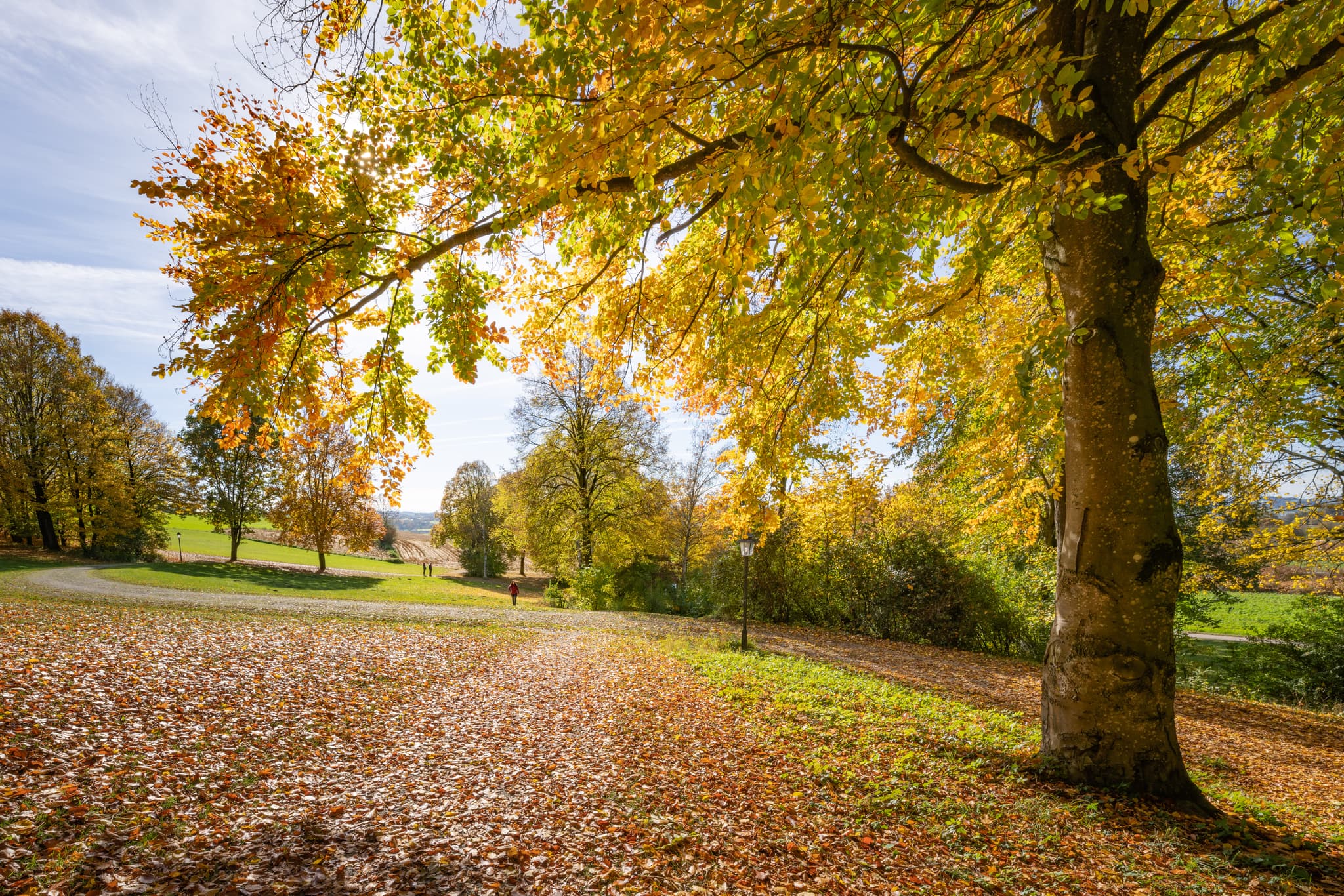 Herbst im Kurpark, Bad Griesbach, Niederbayern, Bäderdreieck - Goldener Herbst im malerischen Kurpark Bad Griesbach im Rottal, Landkreis Passau, Niederbayern, Deutschland. Einladende Wege inmitten bunter Laubwälder.