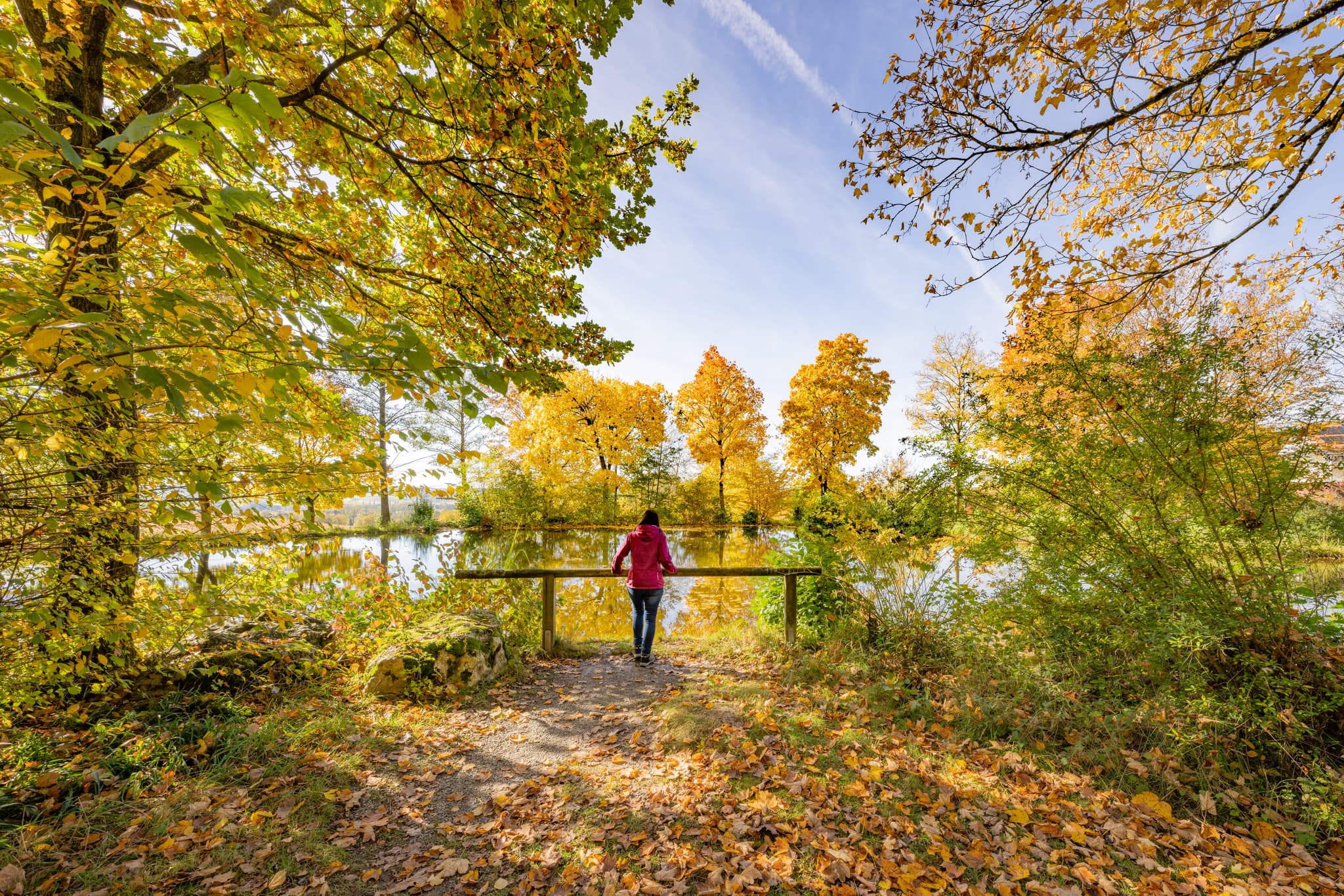 Herbst im Kurpark Bad Griesbach, Passau, Niederbayern - Idyllische Herbststimmung im Kurpark Bad Griesbach i. Rottal, Landkreis Passau, Niederbayern. Malerische Landschaft im Bäderdreieck, Deutschland.