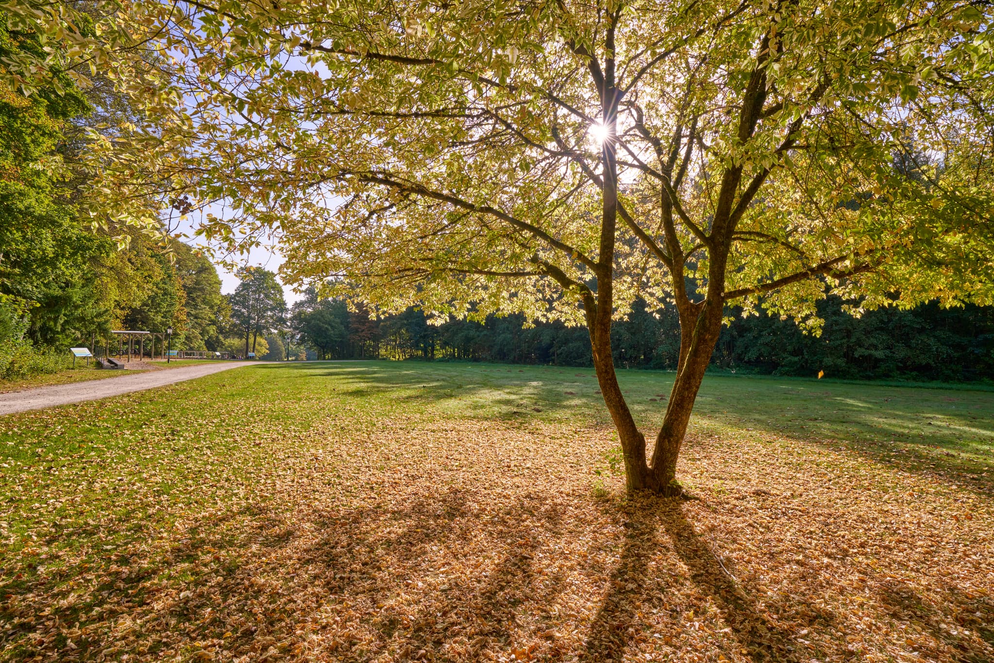 Herbst im Kurpark Bad Griesbach, Passau, Niederbayern - Herbstliche Idylle im Kurpark Bad Griesbach, Passau, Niederbayern. Laub und Sonnenstrahlen prägen die malerische Szenerie im Bäderdreieck.